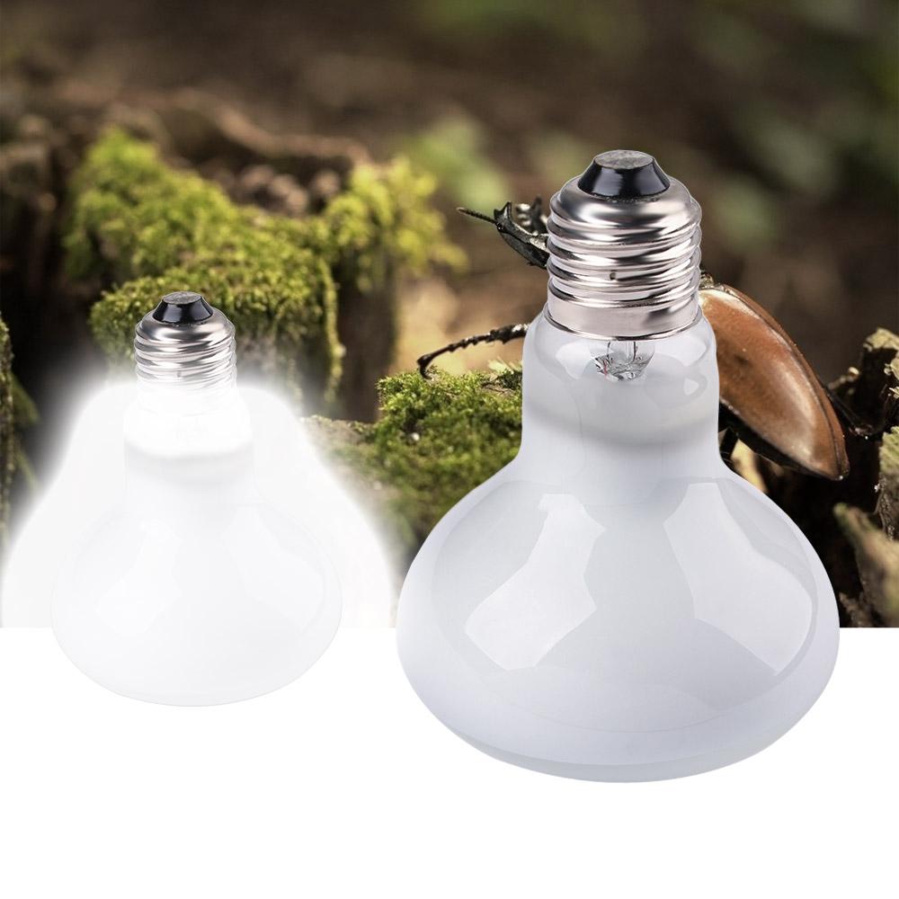 Amphibians Heater Heat Lamp UV - đánh giá và giá Basking Bulb Halogen