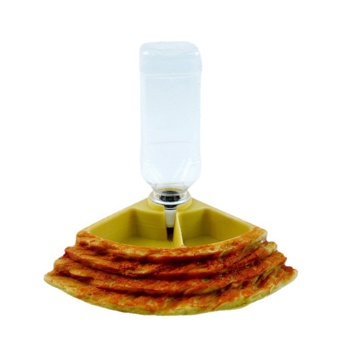 2 in 1 Reptile Water Cup Feede - đánh giá và giá Water Dish Reptile