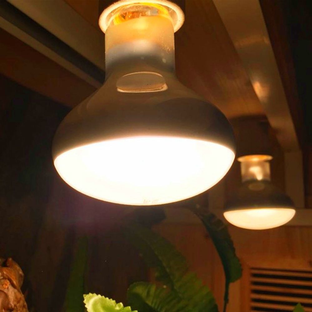 Turtle Temperature Controller  - đánh giá và giá Basking Bulb Halogen