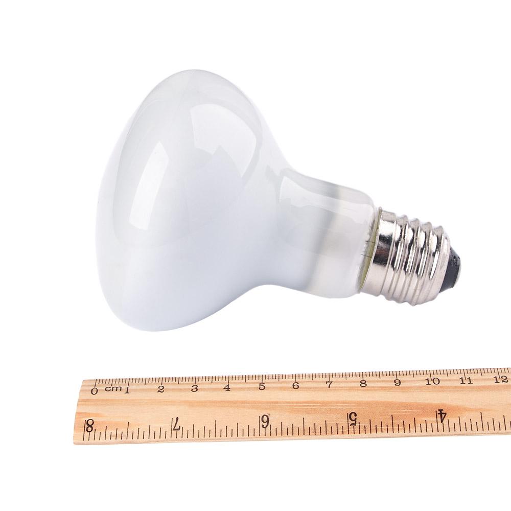 Turtle Heater Temperature Cont - đánh giá và giá Basking Bulb Halogen