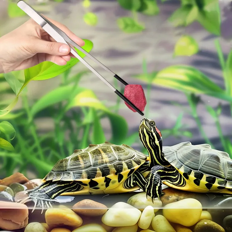2Pcs Stainless Steel Tweezers  - đánh giá và giá Feeding Tong Stainless