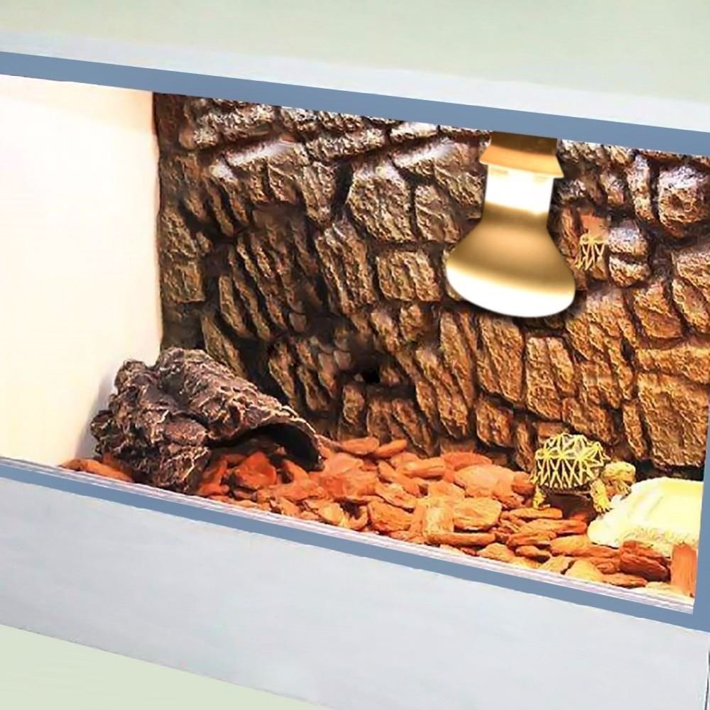 Amphibians Heat Lamp Heater Ha - đánh giá và giá Basking Bulb Halogen
