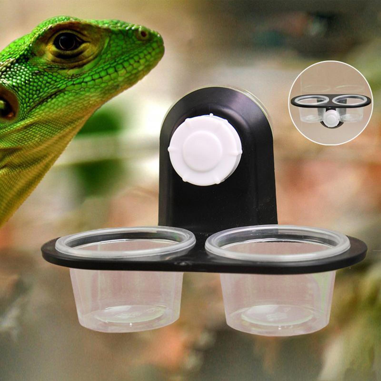 Gecko Feeder Ledge with Detach - đánh giá và giá Water Dish Reptile