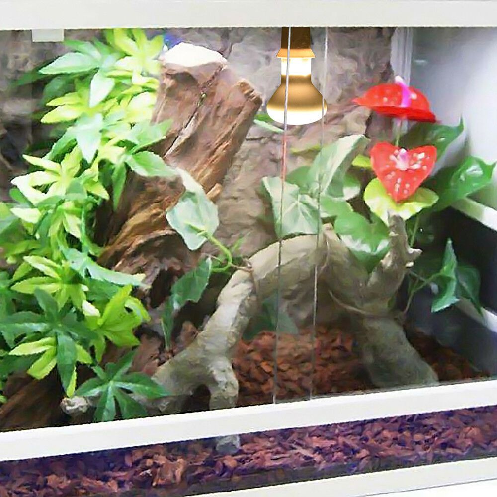 Turtle Temperature Controller  - đánh giá và giá Basking Bulb Halogen